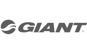 Client Main Image