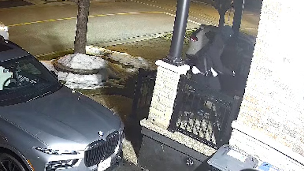 auto-theft-1-6834223-1712269677168 auto-theft-1-6834223-1712269677168
