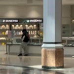 Smash-and-Grab Robbery Caught on Camera