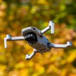 Ottawa Deploys Mosquito-Killing Drones To Prevent Spread of West Nile Virus